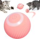 PetPlay | Pelota Inteligente para mascotas pequeñas y gatos